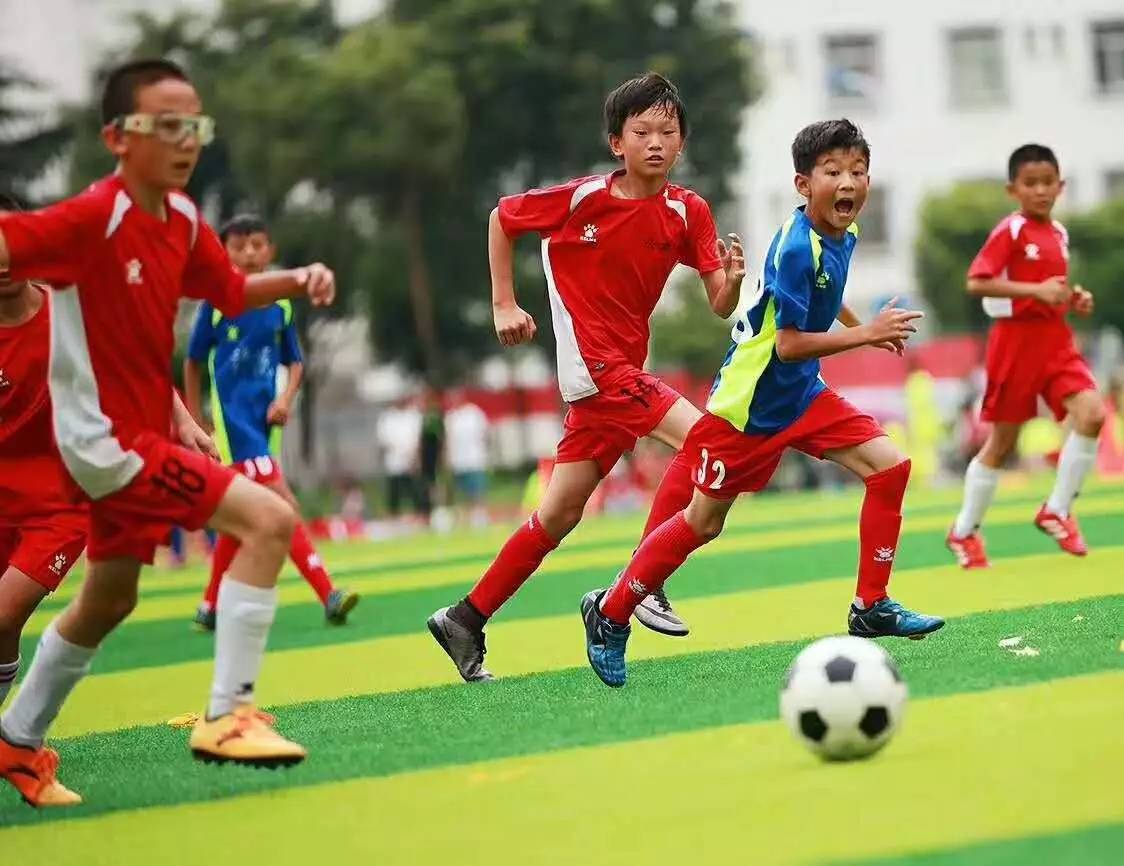 2023-2028年中国足球产业市场预测与投资规划分析报告
