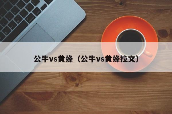 公牛vs黄蜂（公牛vs黄蜂拉文）