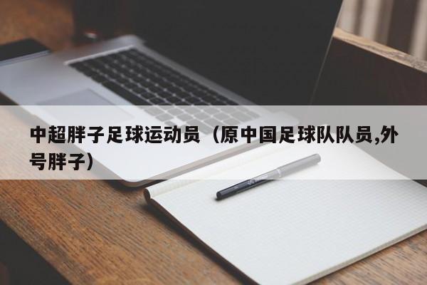 中超胖子足球运动员（原中国足球队队员,外号胖子）